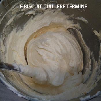 le-biscuit-cuillere-leclubdespatissiers