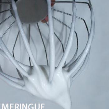 meringue-bec-d-oiseau-leclubdespatissiers