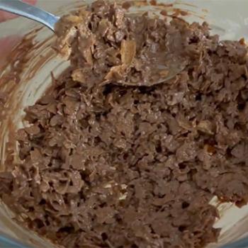 Croustillant-praline-chocolat-melange-leclubdespatissiers