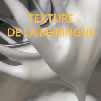 texture-de-la-meringue-biscuit-viennois-leclubdespatissiers