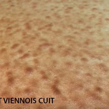 biscuit-viennois-cuit-leclubdespatissiers